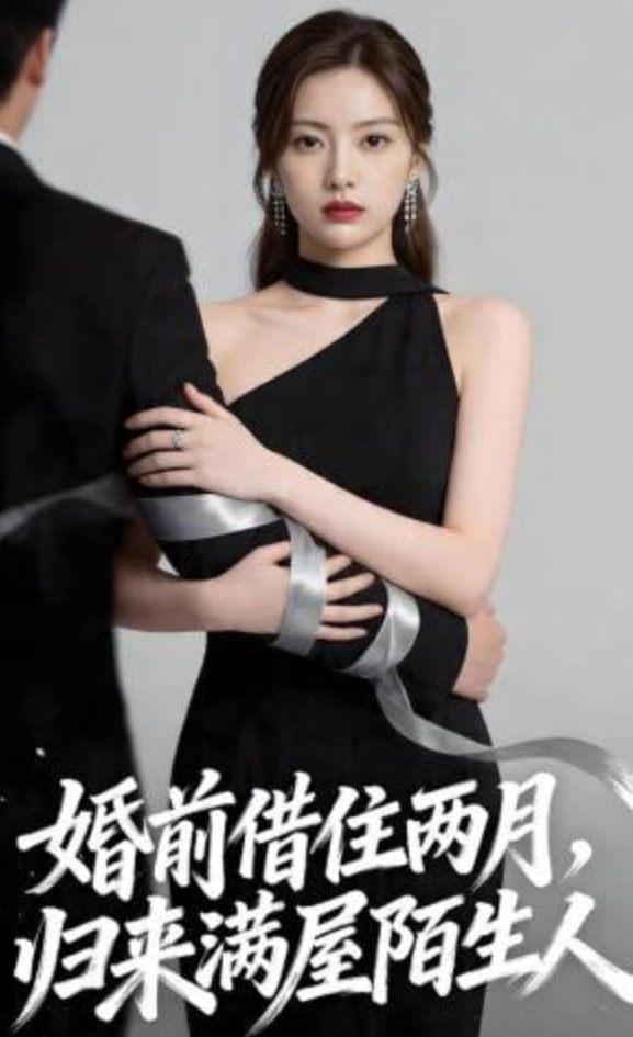 尘封十三载 海报